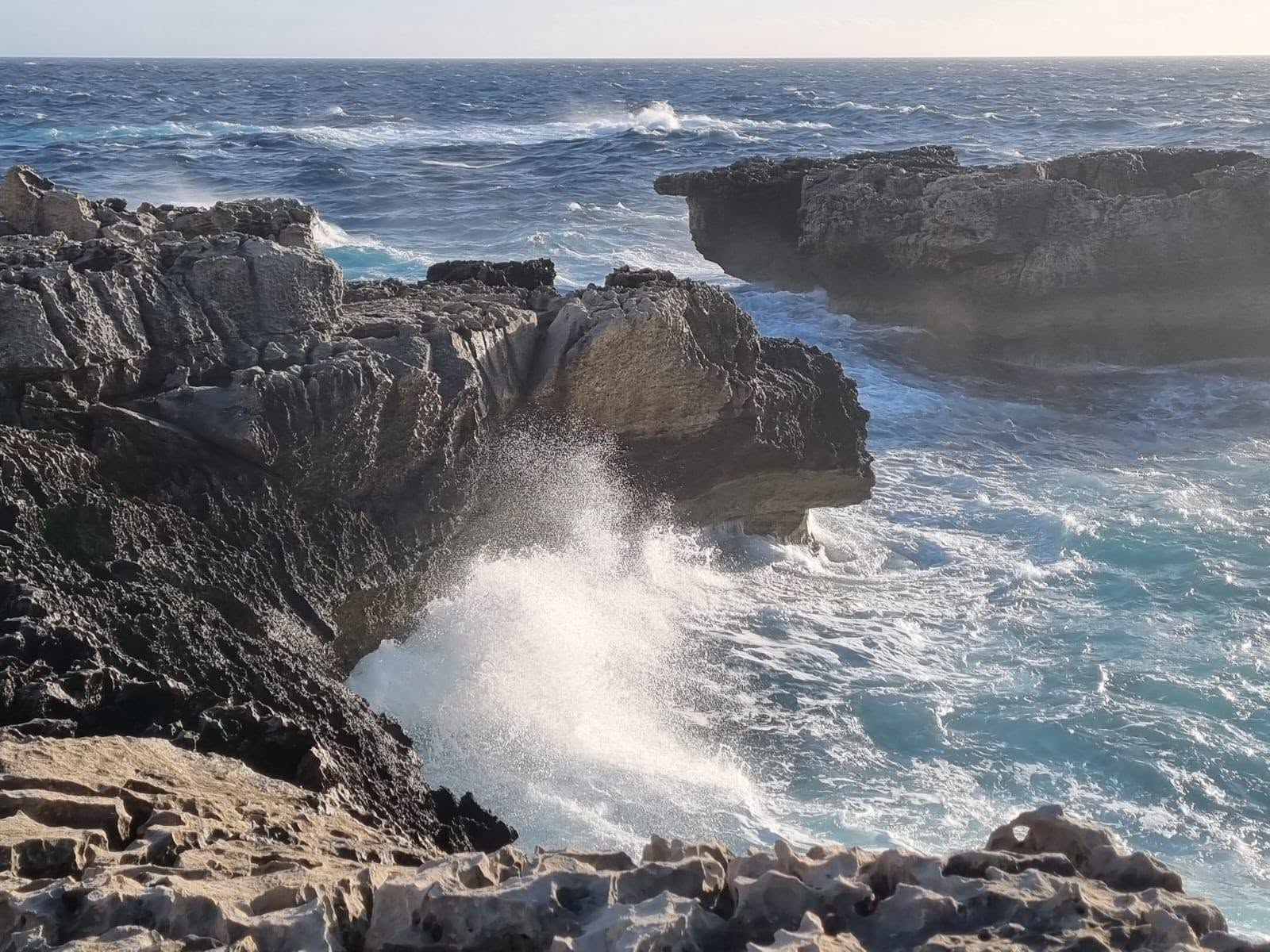 The coastline of Gozo, Malta — limestone cliffs and a turquoise bay in warm light